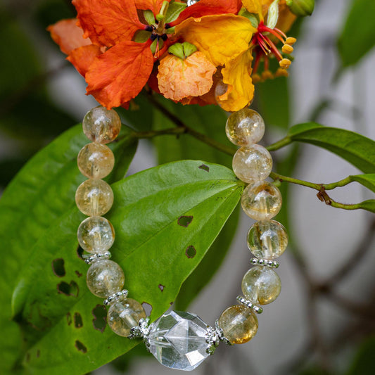 tos-alisg-i-aphluv4xwc-sg/c1a1c308504e445ca709d9fc69414a62